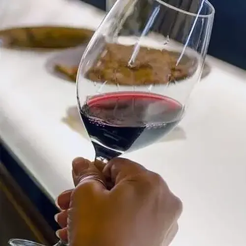 Activité : Journée d'Initiation à l'Œnologie à Nice