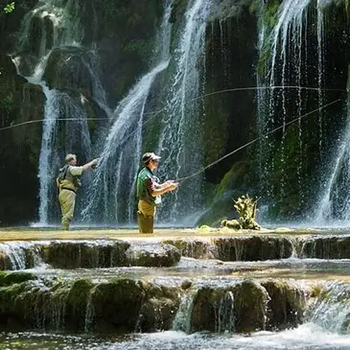 Activité : Stage de Pêche Sportive dans le Jura