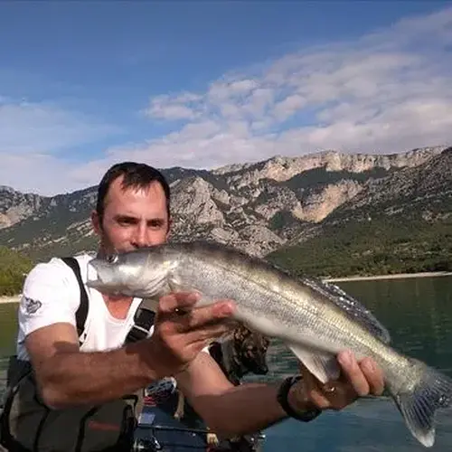 Activité : Pêche aux Carnassiers sur le Lac de Sainte-Croix du Verdon