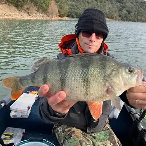 Activité : Pêche aux Carnassiers sur le Lac de Saint-Cassien