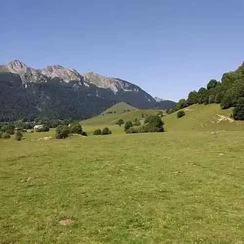Activité : Balade en Cani-Rando dans les Pyrénées Catalanes