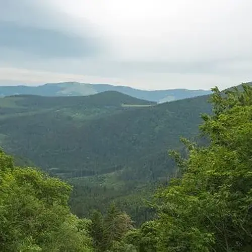 Activité : Baptême en ULM Multiaxe à Saint-Dié-des-Vosges