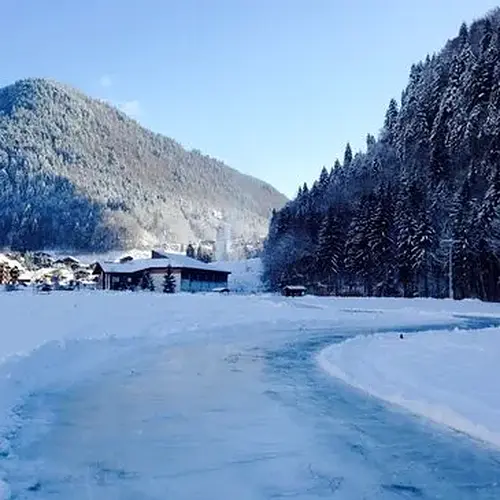 Activité : Pilotage sur Glace en Alpine A110 - Circuit d'Abondance