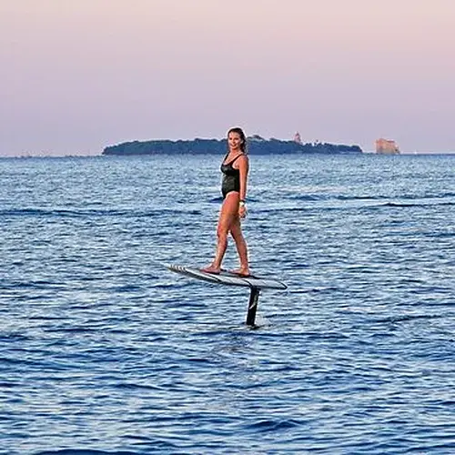 Activité : Initiation au Surf Electrique à Foil à Cannes