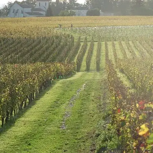 Activité : Journée Détente et Soins près de Bordeaux