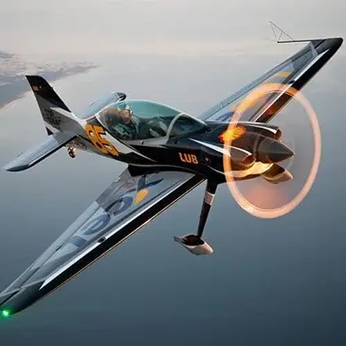 Activité : Initiation au Pilotage d'Avion de Voltige en Vendée