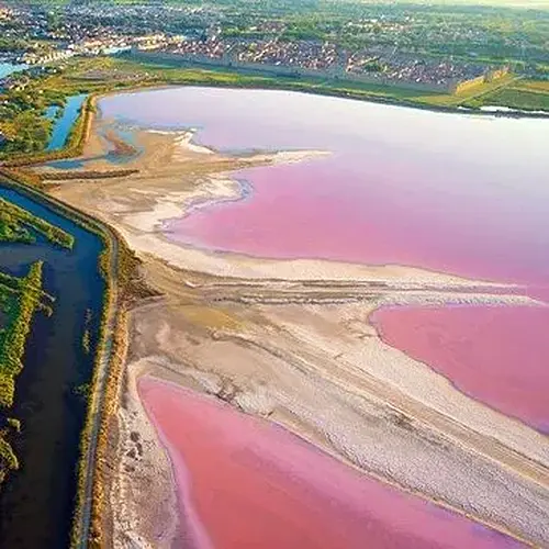 Activité : Baptême en ULM Multiaxe - Survol de la Camargue