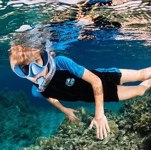 Activité : Journée en Bateau et Snorkeling au Cap d'Antibes