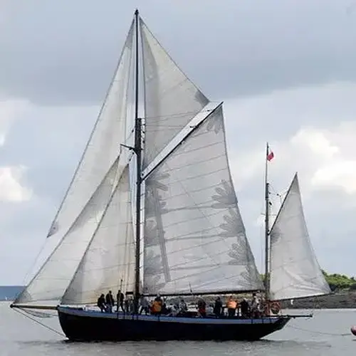 Activité : Sortie en Voilier Historique - Golfe du Morbihan et Île d'Houat