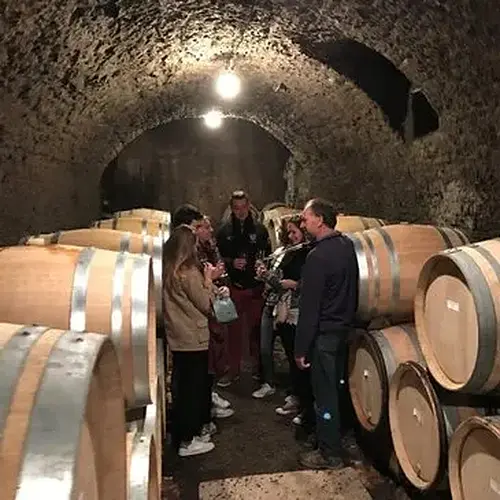 Activité : Balade œnologique à Beaune