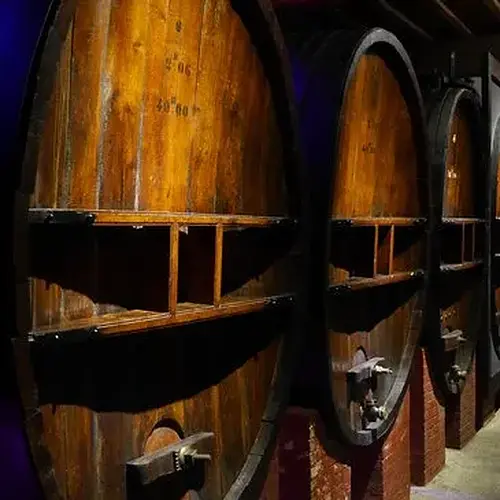 Activité : Visite de Cave et Dégustation de Vin à Limoux