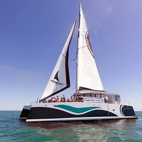 Activité : Sortie en Catamaran à l'Ile de Ré