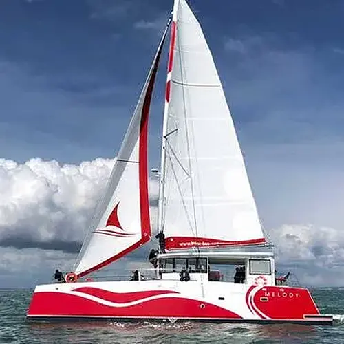 Activité : Sortie en Catamaran à l'Ile d'Oléron