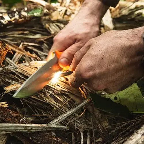 Activité : Week-End Stage de Survie à Fontainebleau