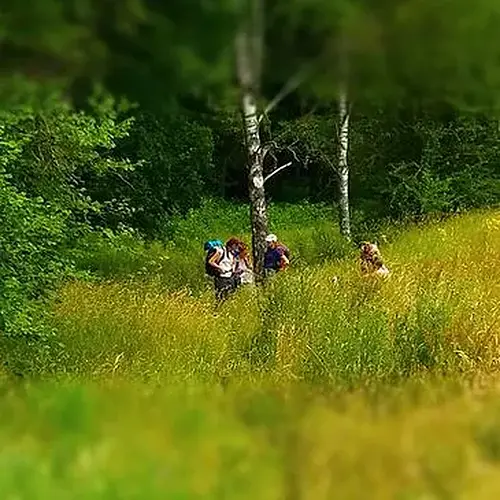 Activité : Week-end Stage de Survie près de Mont-de-Marsan