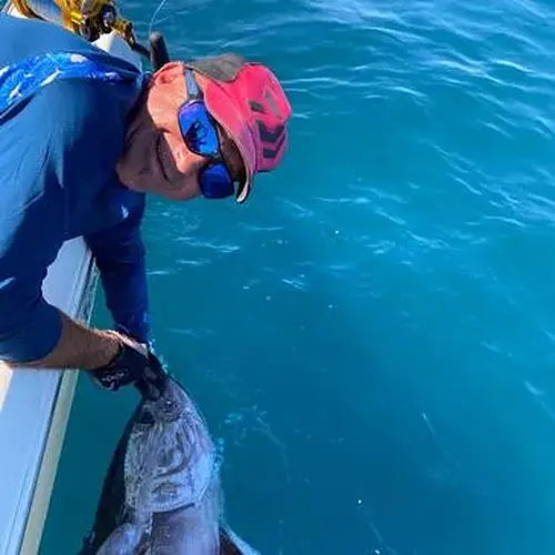 Activité : Pêche au gros à Port-Saint-Louis-du-Rhône en Camargue