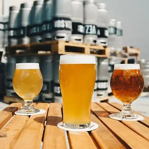 Activité : Atelier de Brassage de Bière à Bordeaux