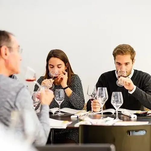 Activité : Journée d'Initiation à l'Œnologie à Amiens