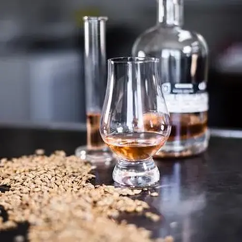 Activité : Atelier Dégustation de Whisky à Rennes Ouest