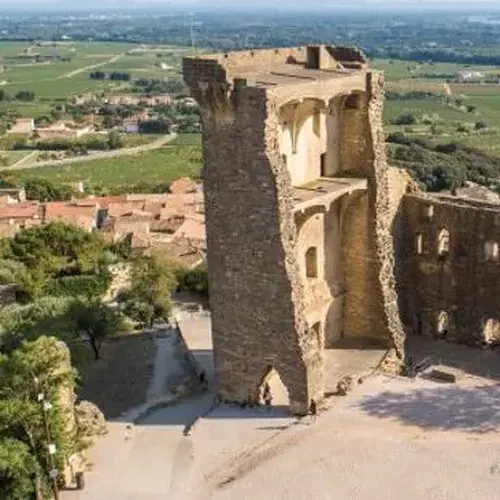 Activité : Balade Œnotouristique à Châteauneuf-du-Pape