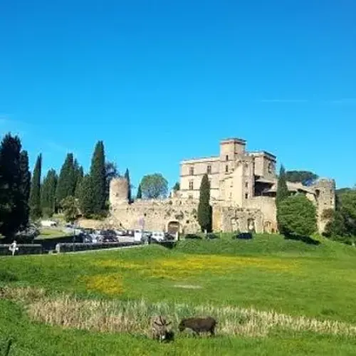 Balade Œnotouristique dans les Vignobles des Côtes-de-provence à Aix-en-Provence