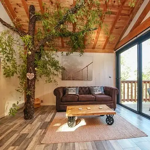 Cabane dans les Arbres avec Spa près d'Albi à Cahuzac-sur-Vère