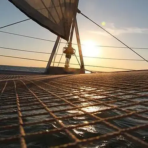 Activité : Balade en Catamaran à La Rochelle
