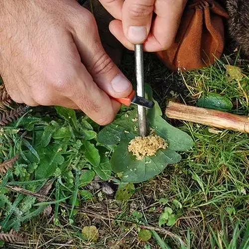 Activité : Week-end Stage de Survie près de Saint-Brieuc
