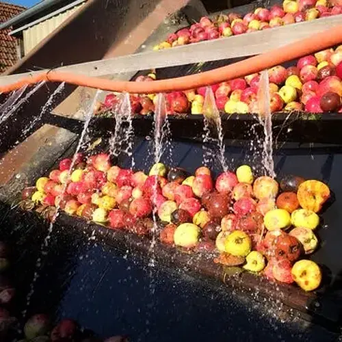 Activité : Atelier Fabrication de Cidre près de Gisors