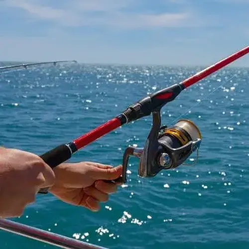 Pêche Côtière en Bateau près de Montpellier à CARNON PLAGE