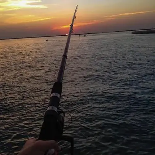 Activité : Pêche au Gros à Marseillan