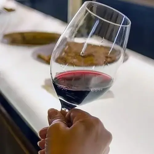 Activité : Initiation à l'Œnologie à Saumur