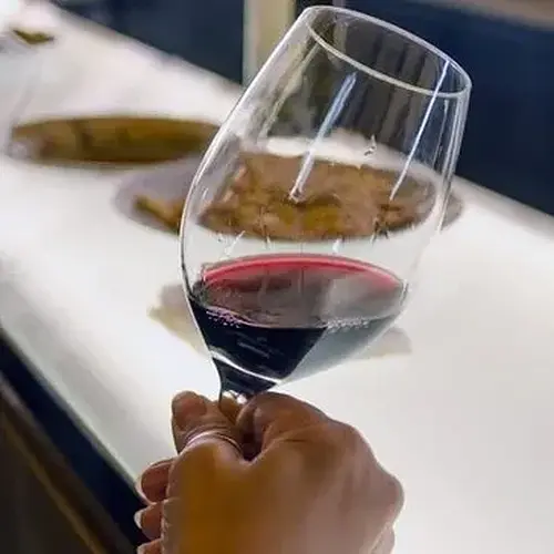 Activité : Journée d'Initiation à l'Œnologie à Saumur