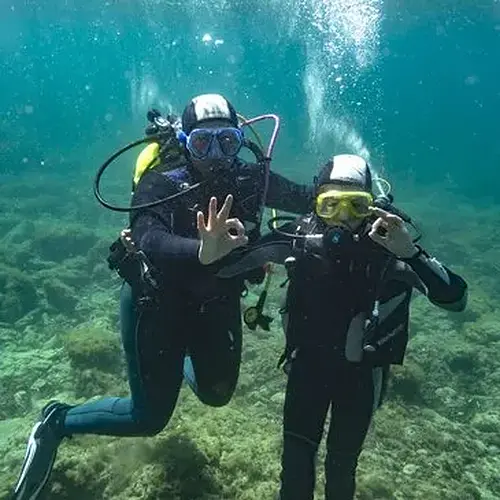Activité : Plongée à Carry-le-Rouet : Calanques de la Côte Bleue