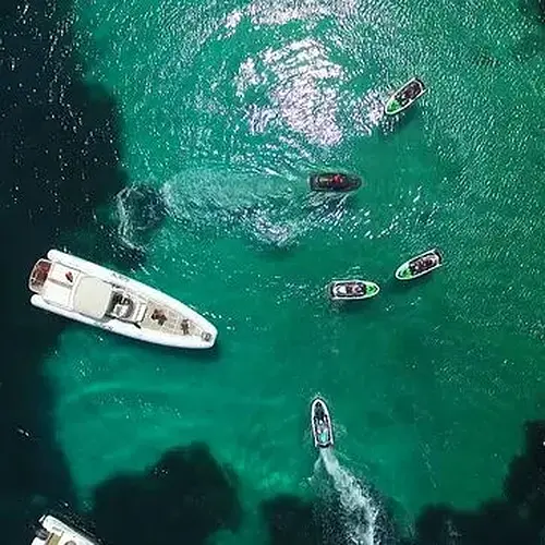 Activité : Randonnée en Jet Ski à Propriano