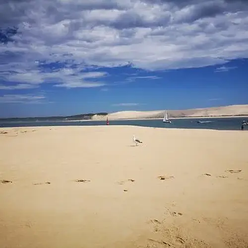 Activité : Baptême en Hélicoptère - Survol de l'Île aux Oiseaux