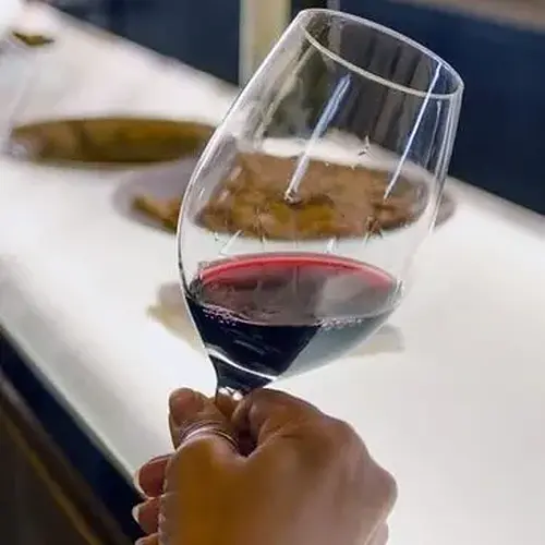 Activité : Atelier Dégustation de Grands Crus à Angers