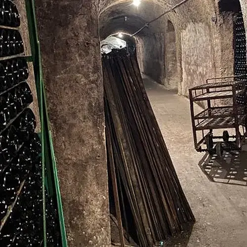 Activité : Atelier Dégustation et Fabrication de Champagne près de Reims