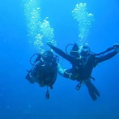 Activité : Initiation à la Plongée dans les Calanques de la Côte Bleue