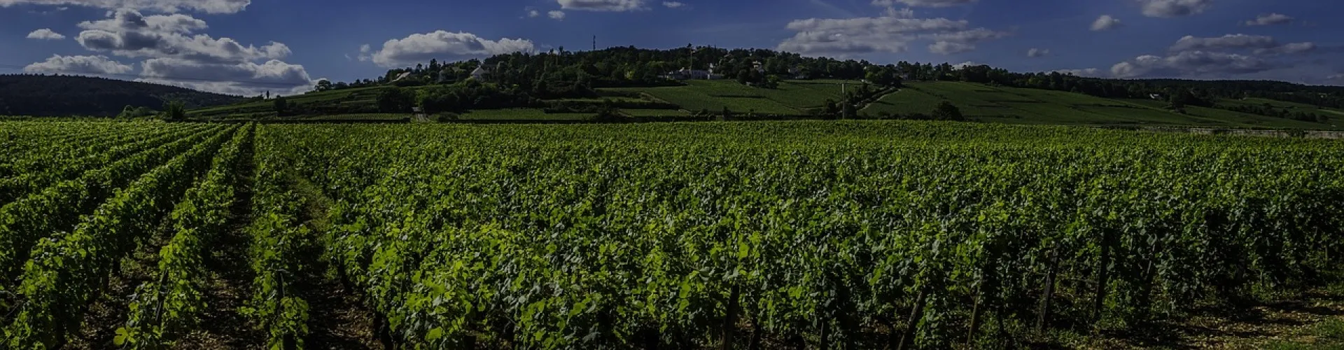 Activités en Bourgogne - page 2