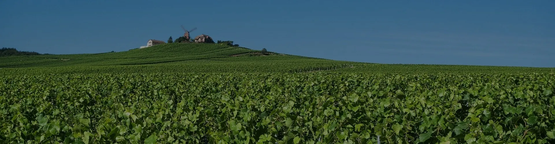 Activités en Champagne-Ardenne