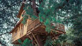Cabane dans les Arbres Cabane dans les Arbres