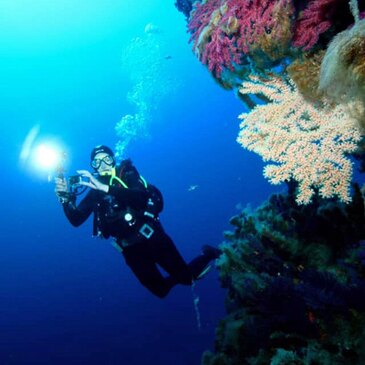 Bapteme De Plongee Sous Marine En Corse A Cargese