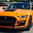 Stage en Mustang Shelby GT500 - Circuit de Folembray